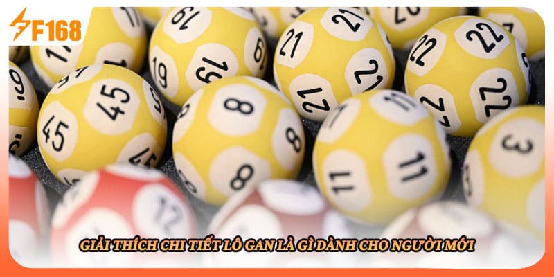 Giải thích chi tiết lô gan là gì dành cho người mới